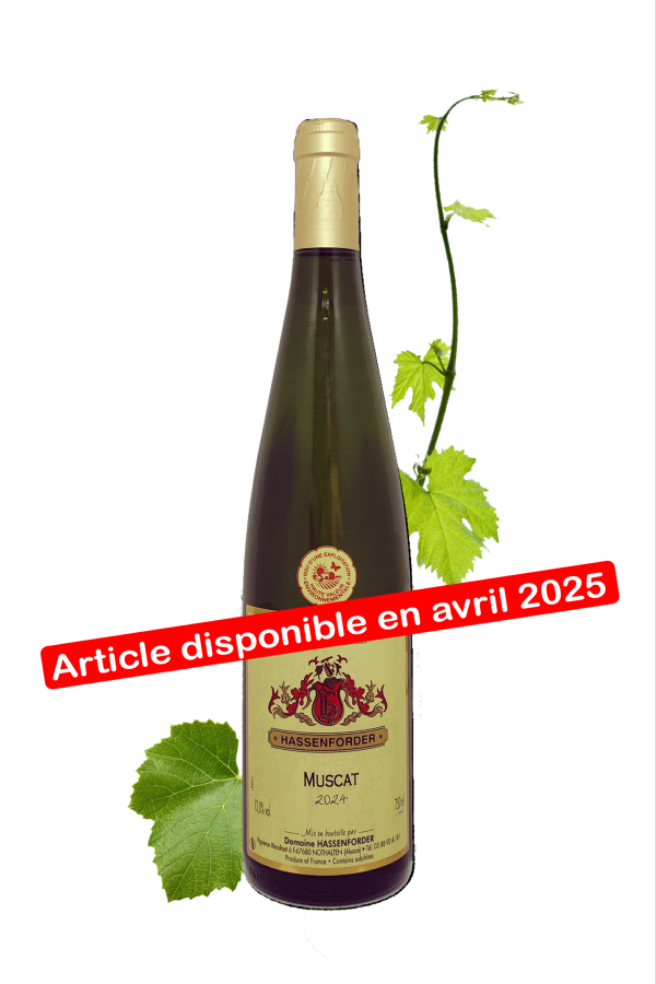 Muscat 2024