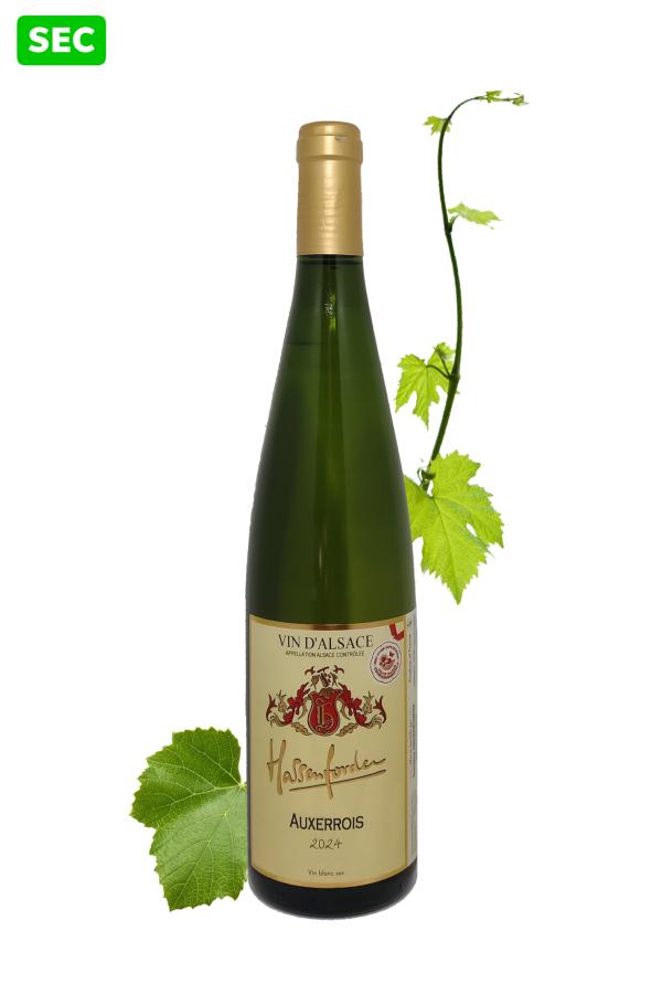 Auxerrois 2024
