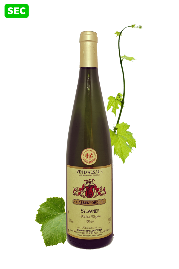 Sylvaner 2024 - Vieilles Vignes