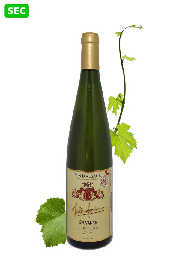 Sylvaner 2024 - Vieilles Vignes