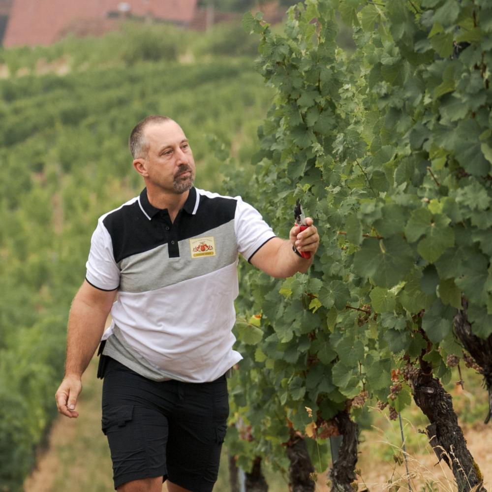 Ludovic sur son tracteur