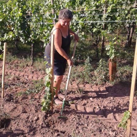 Marie-France en train de biner le sol